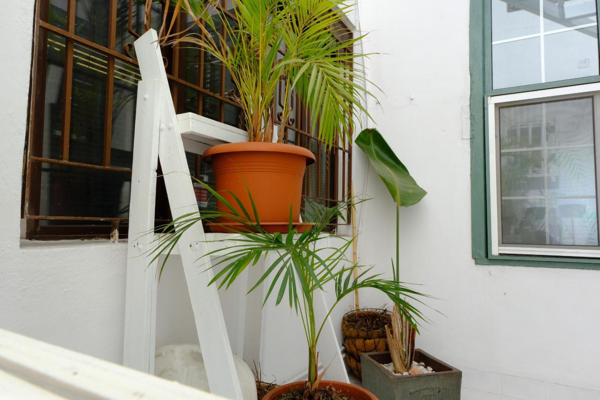 Rooftop Dreamhouse - 3Br With Seaviews Santa Cruz de la Palma  Exterior photo