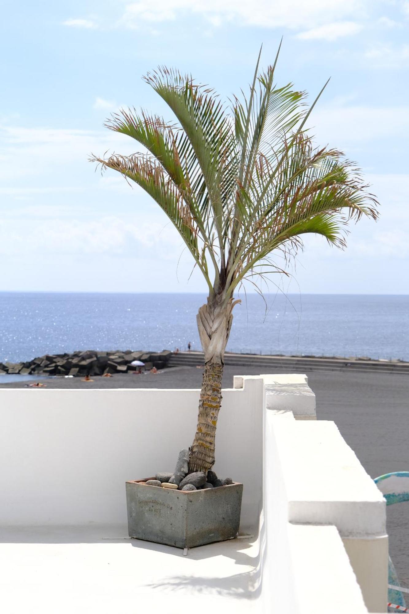 Rooftop Dreamhouse - 3Br With Seaviews Santa Cruz de la Palma  Exterior photo